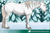 Horse Color:Perlino Dun Splash Tobiano Near Fewspot 