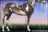 Horse Color:White Spotted Silver Black 