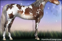 Horse Color:White Spotted Silver Brown 
