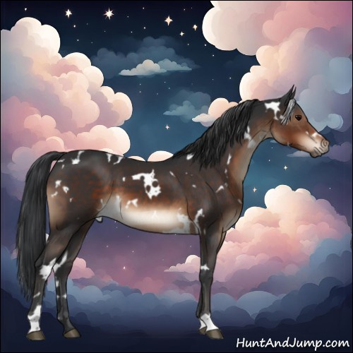 Horse Color:White Spotted Brown