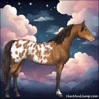 Horse Color:Buckskin Roan Near Leopard 