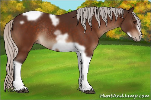 Horse Color:Silver Brown Tobiano Frame Rabicano 