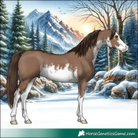 Horse Color:White Spotted Liver Red Dun