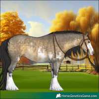 Horse Color:Buckskin Dun Sabino