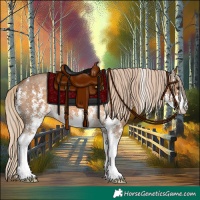 Horse Color:Chocolate Palomino Sabino 