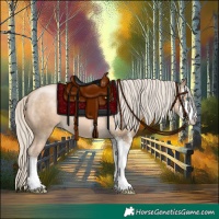 Horse Color:Chocolate Palomino Pearl Sabino 