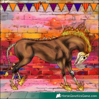 Horse Color:Bay 