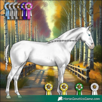 Horse Color:White Spotted Silver Sable Cream Champagne Pearl Sabino Splash Blanket Rabicano