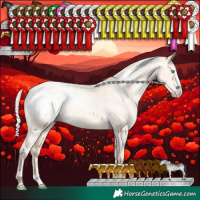 Horse Color:White Spotted Silver Amber Cream Champagne Pearl Dun Sabino Splash Blanket Rabicano