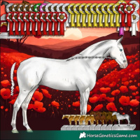 Horse Color:White Spotted Silver Amber Cream Champagne Pearl Dun Sabino Splash Appaloosa Rabicano 