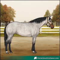 Horse Color:Brown Roan Dun 