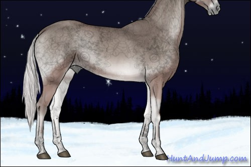 Horse Color:Void Platinum Silver Blue Onyx 