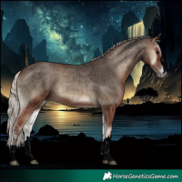 Horse Color:Void Silver Blue Onyx