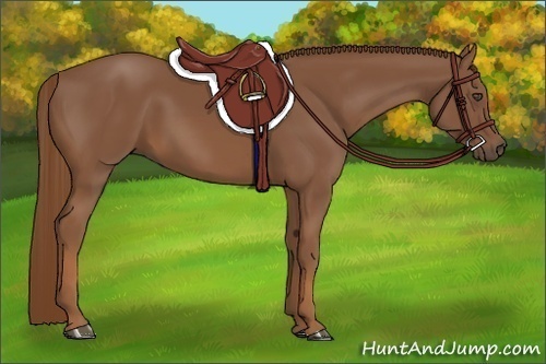 Horse Color:Chestnut Frame 