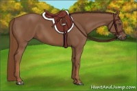 Horse Color:Chestnut Frame