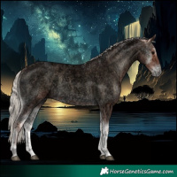 Horse Color:Void Silver Blue Onyx Ice Roan 