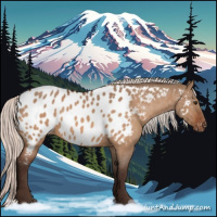 Horse Color:Silver Brown Dun Appaloosa 