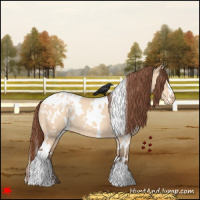 Horse Color:White Spotted Amber Champagne Dun Appaloosa 