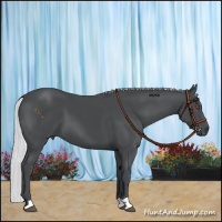 Horse Color:Silver Black Chinchilla 