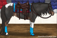 Horse Color:Liver Chestnut Tobiano Rabicano