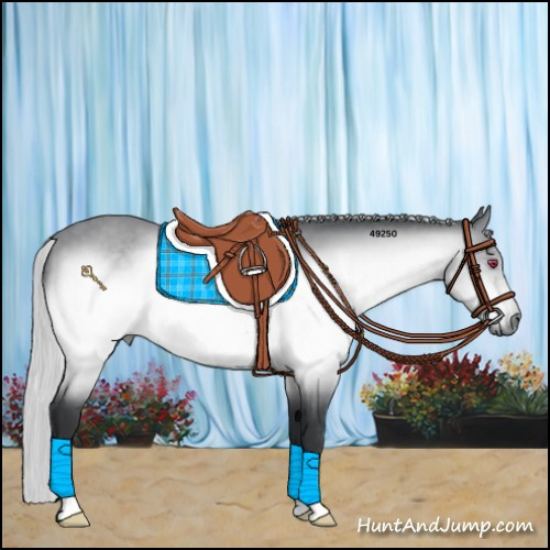 Horse Color:Silver Brown Chinchilla 