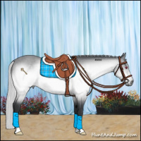 Horse Color:Silver Brown Chinchilla 