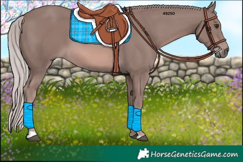 Horse Color:Platinum Chestnut 