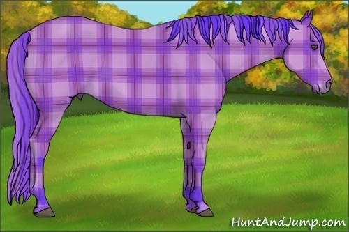Horse Color:Watercolor Plaid  Buckskin 