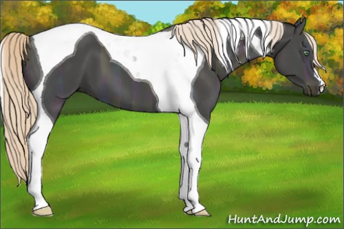 Horse Color:Midnight Perlino Ice Onyx Tobiano