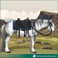 Horse Color:White Spotted Black Frame 