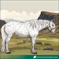 Horse Color:Silver Brown Appaloosa 