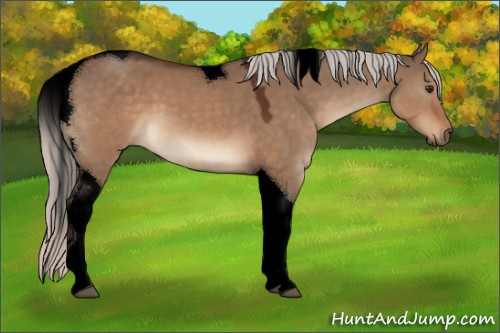 Horse Color:Void Silver Brown Dun Tobiano 