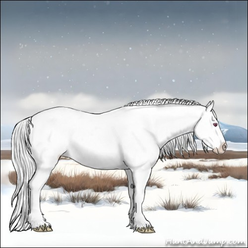 Horse Color:Silver Bay Chinchilla Ice Roan Dun Splash Tobiano 