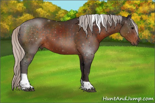 Horse Color:Silver Brown Sabino Tobiano 