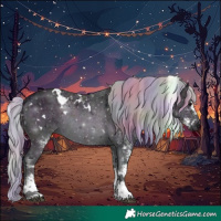 Horse Color:Platinum Nacre White Spotted Midnight Silver Buckskin Ice Onyx Rabicano