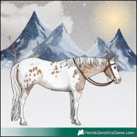 Horse Color:Silver Brown Dun Splash Tobiano Near Leopard 