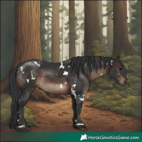 Horse Color:White Spotted Brown 