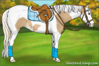 Horse Color:Chestnut Mushroom Splash Tobiano 
