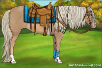 Horse Color:Chestnut Mushroom Appaloosa 