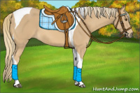 Horse Color:Chestnut Mushroom Tobiano