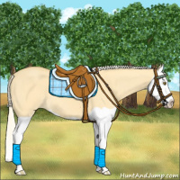 Horse Color:Palomino Dun Mushroom Splash 