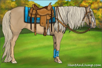 Horse Color:Chestnut Mushroom