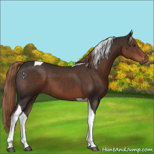 Horse Color:Liver Chestnut Tobiano 