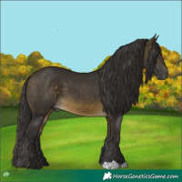 Horse Color:Buckskin 