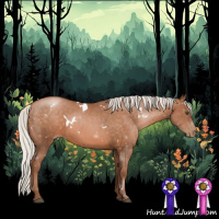 Horse Color:White Spotted Silver Brown Pearl Rabicano