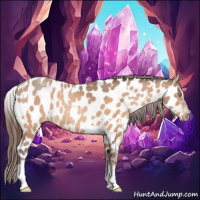 Horse Color:Amber Champagne Sabino Tobiano Near Leopard and White Spotted Amber Champagne Tobiano Near Leopard