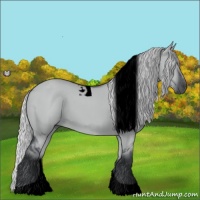 Horse Color:Void Silver Grullo Chinchilla Tobiano 