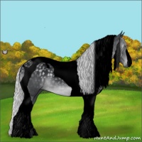 Horse Color:Void Silver Black Chinchilla Tobiano 