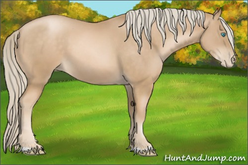 Horse Color:Chocolate Palomino Pearl 