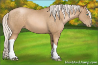 Horse Color:Silver Buckskin Pearl 